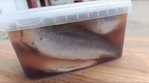 Сельдь Тихоокеанская слабой соли