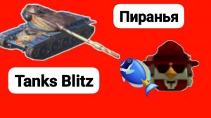 Пиранья🐠🐠🐠Tanks Blitz T95E6