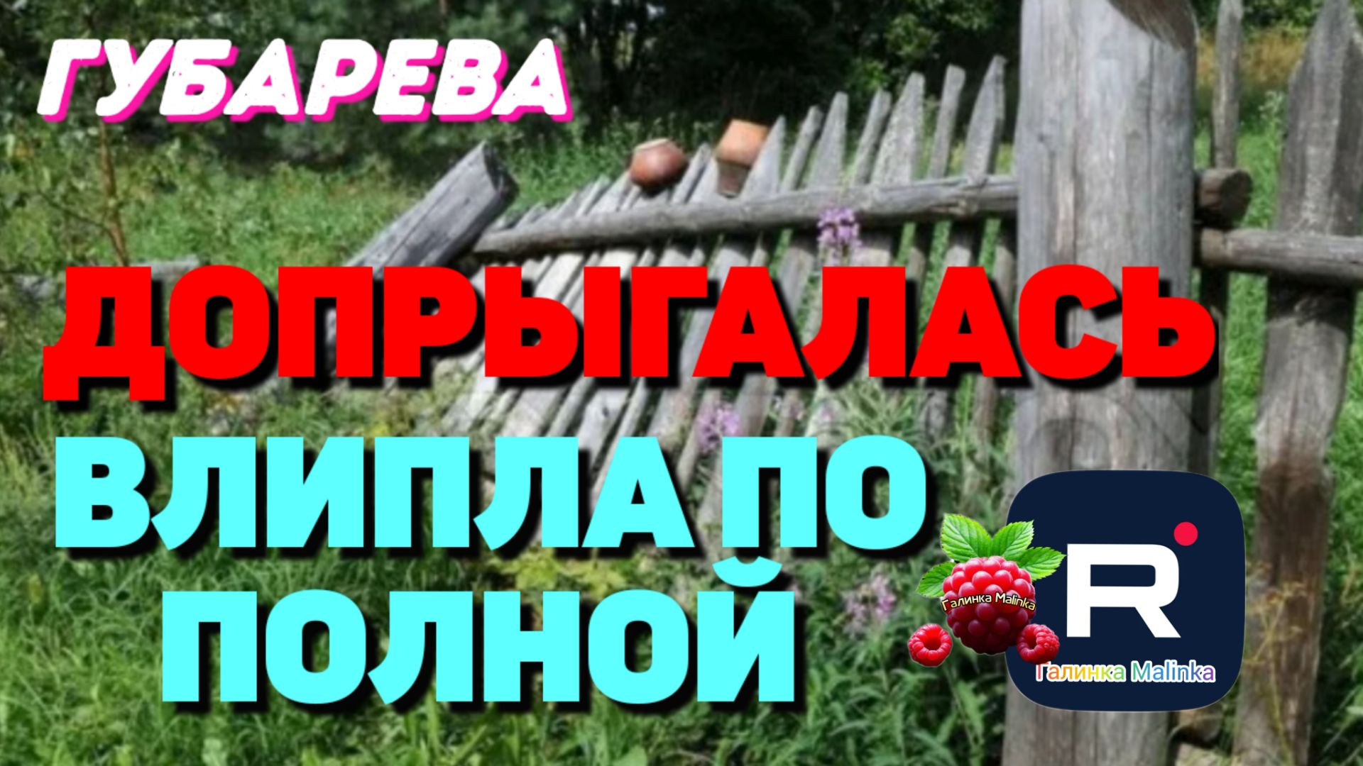 Губарева _Доигралась _Влипла по полной _Обзор _Наталья Губарева _Алиса Неземная _Одна в деревне