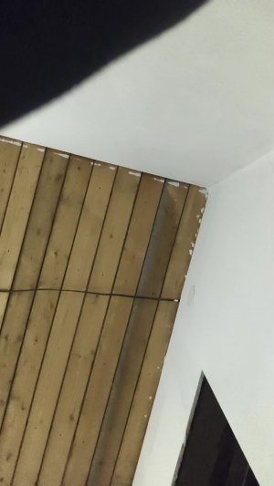 я просто хочу снять видео