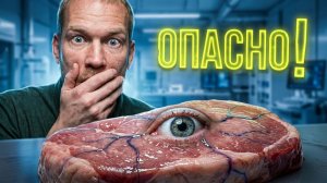 Реальная еда прошлого: Чем питались викинги, гладиаторы и фараоны?