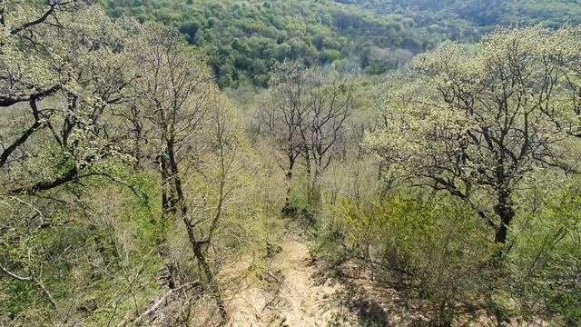 Смотровая площадка скалы 