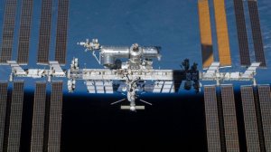 Грузовой корабль МС-34 успешно пристыковался к МКС