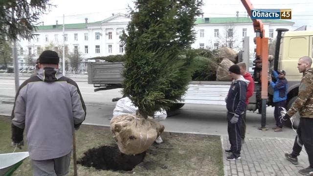 В Кургане проводится весенняя кампания по озеленению