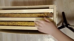 Поимка пчелиных роёв .