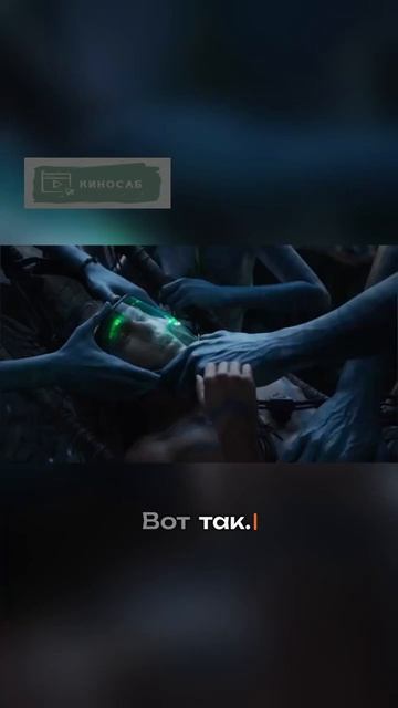 Напряженная борьба за жизнь