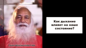 Ролик 3 дыхание животных (рус)