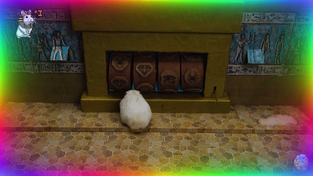 Приключения хомячка в мире кино! 1