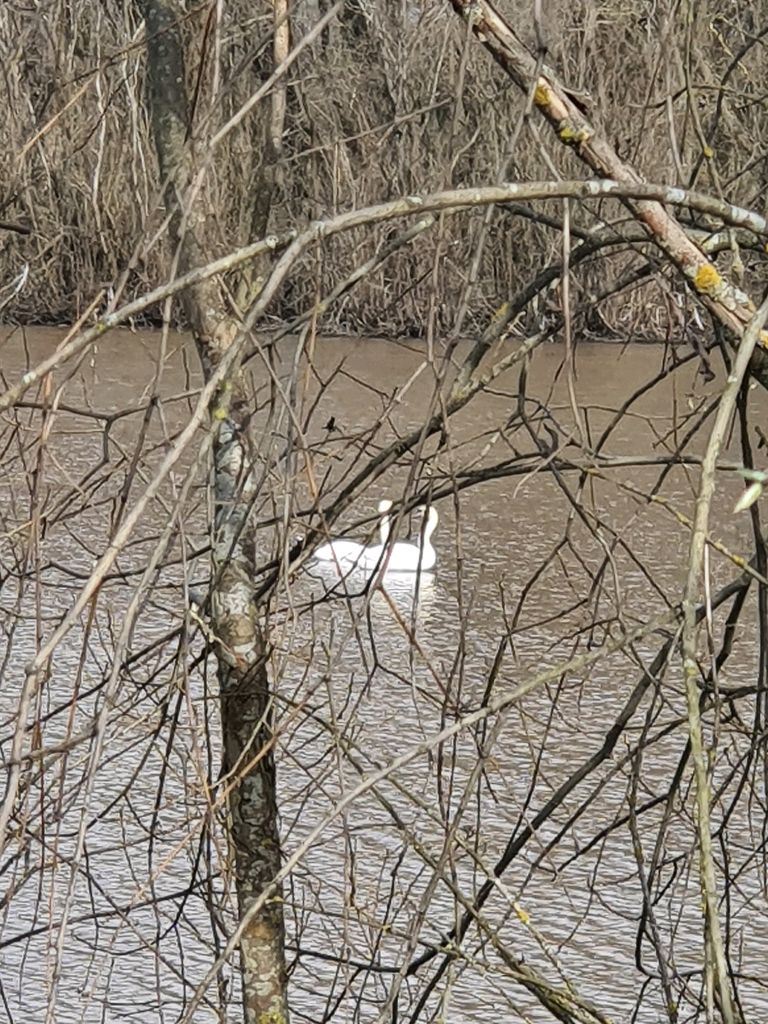 собираюсь домой