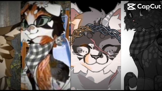 Колаб с квшниками ✨