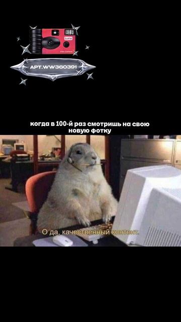 Плёночный фотоаппарат на 36 кадров (Артикул WB: #WW360391)💕