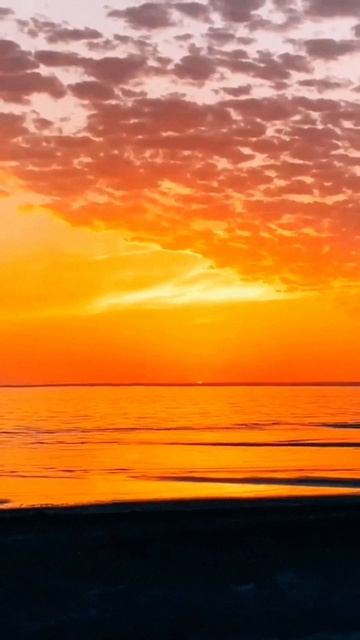 Не купишь совесть не купишь честь  часть текста песни Оксаны Сычковой