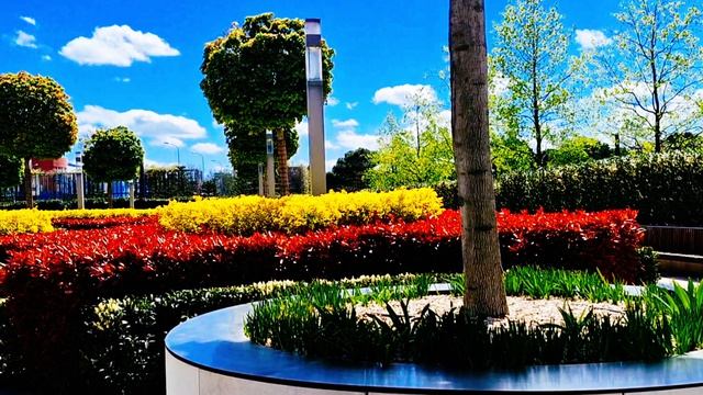 Французский Сад в Парке Галицкого!  Краснодар!