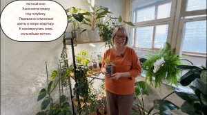 Уютный влог: Закончила грядку под голубику. К нам вернулась зима.