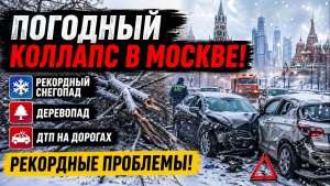 Погодный КОЛЛАПС в Москве.: рекордный снегопад, аварии на дорогах и деревопад — последние новости