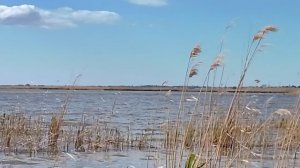 Водоем известен своей небольшой глубиной