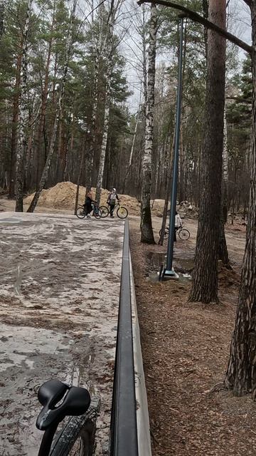 девочки вылазят из парка