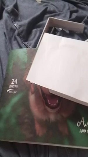 делаем бумажного дракончика