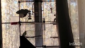 228)28.04.26.г.Моя городская жизнь 👩🏢🌹🍀🌹🍀🌹.