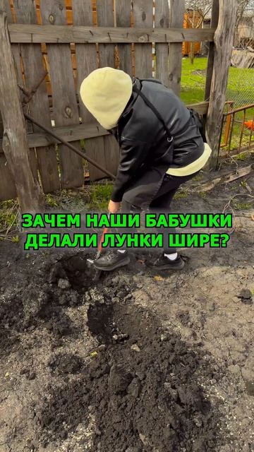 В конце апреля лунки делают шире, чем глубже, чтобы дать корням пространство для быстрого роста.