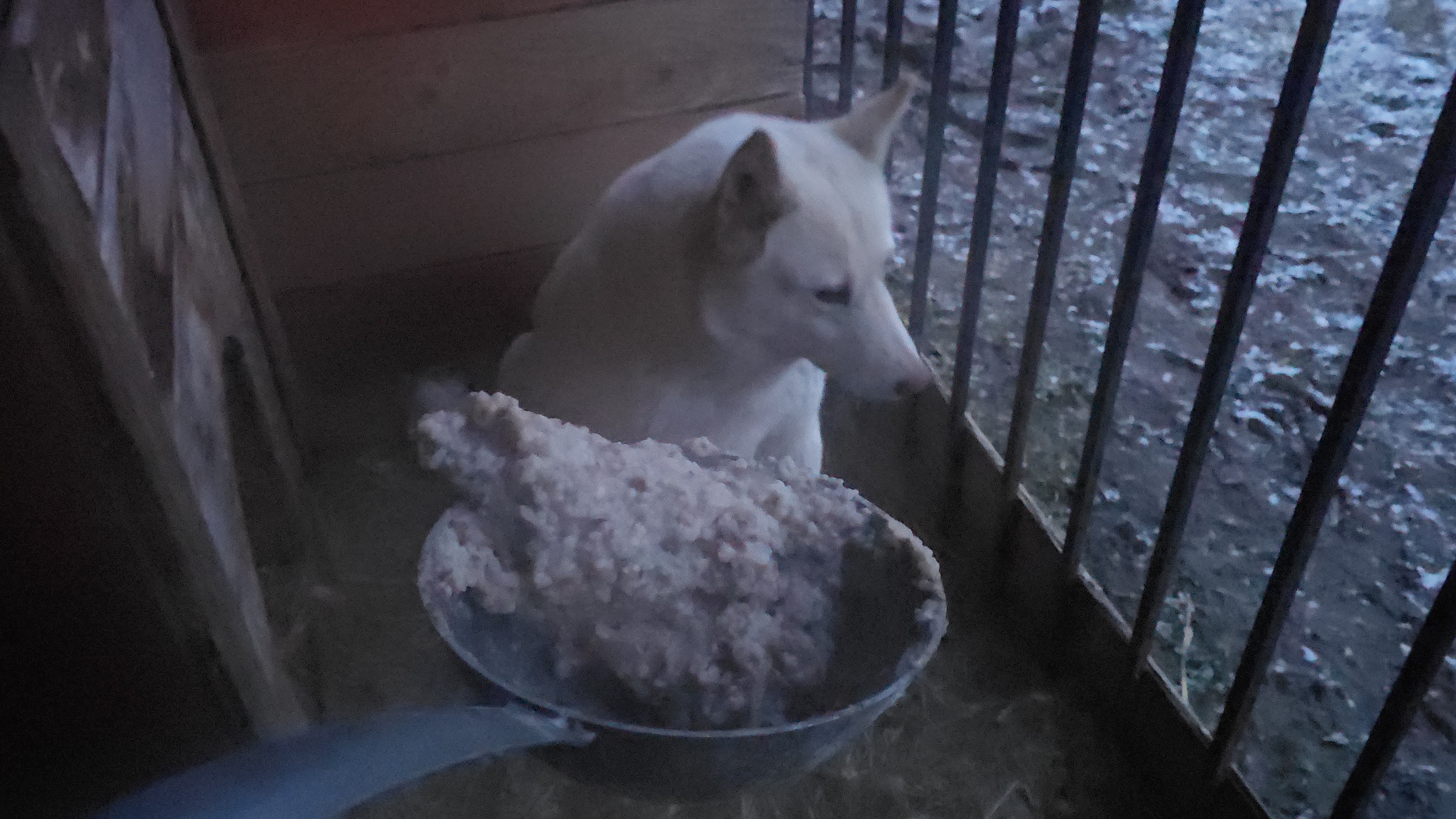 В снегопад апреля