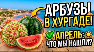 Арбуз в Апреле Хургада Египет