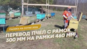 Перевод пчелиных семей с рамки 300 на 460