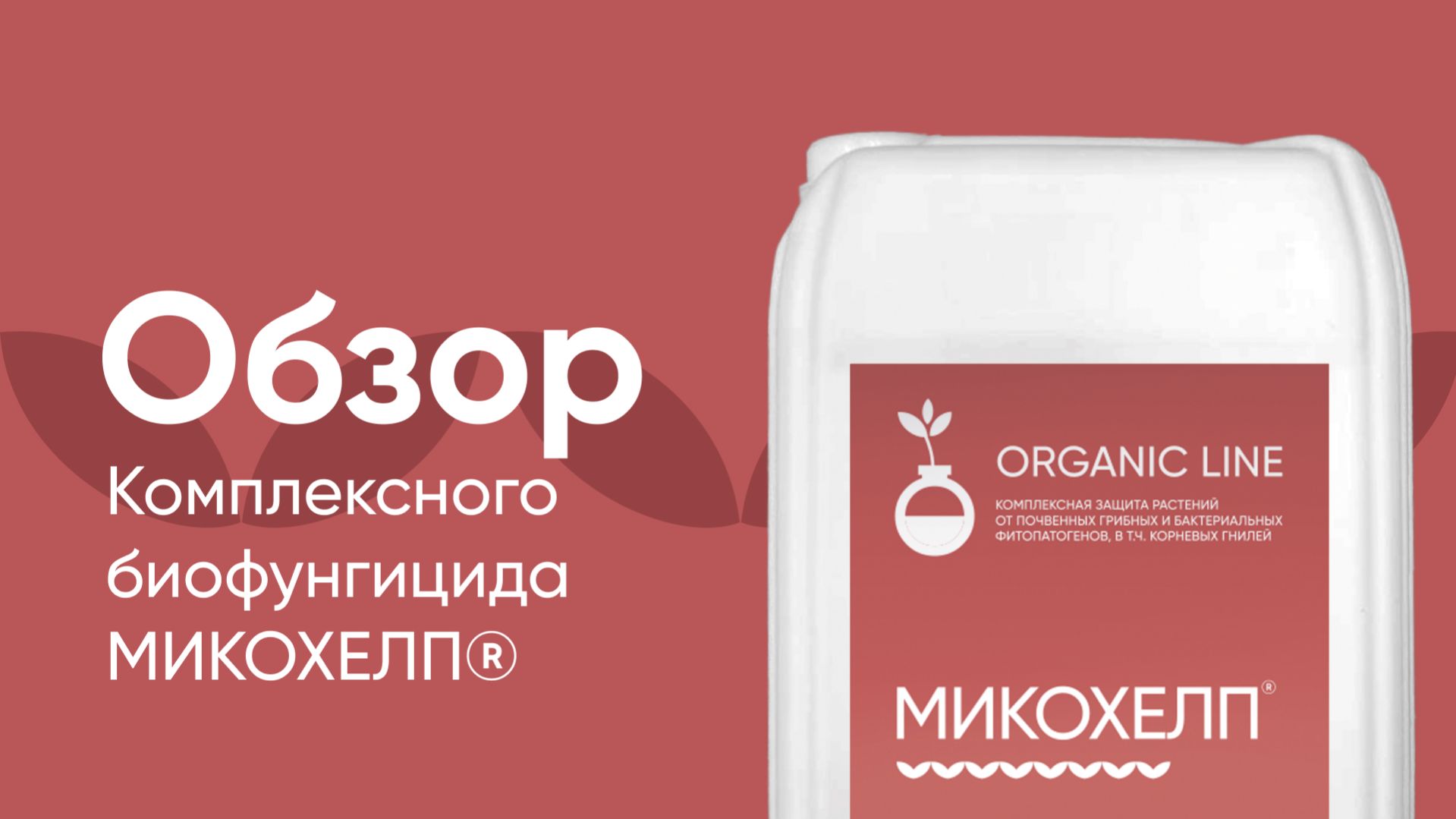 Детальный обзор  комплексного биофунгицида Микохелп®