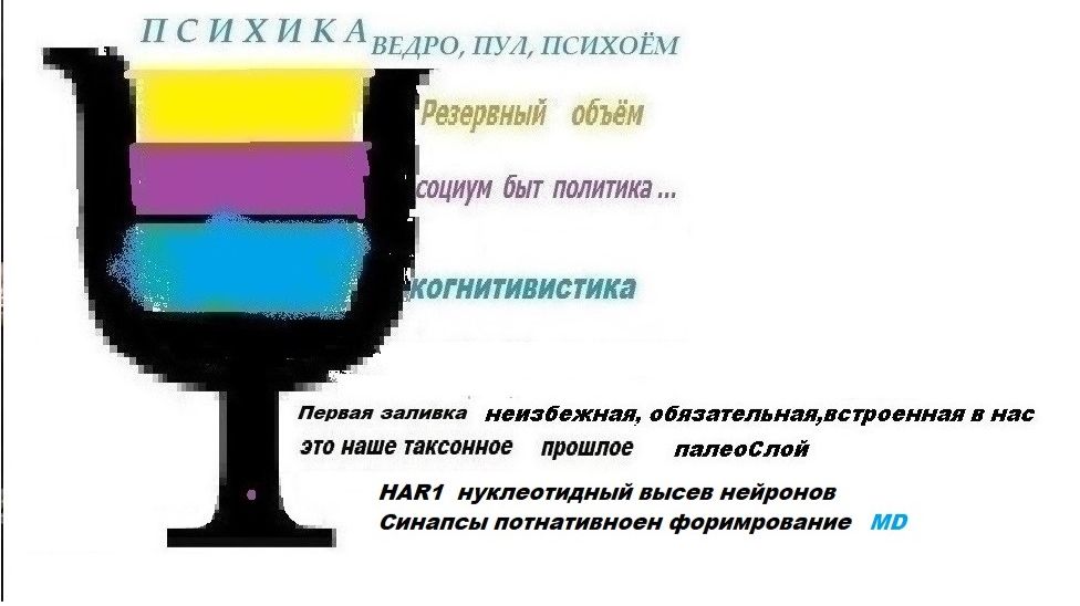 WWW.5.5  ПСИХИКА - предмет  исследования.  Понятие. Эмерджентизация