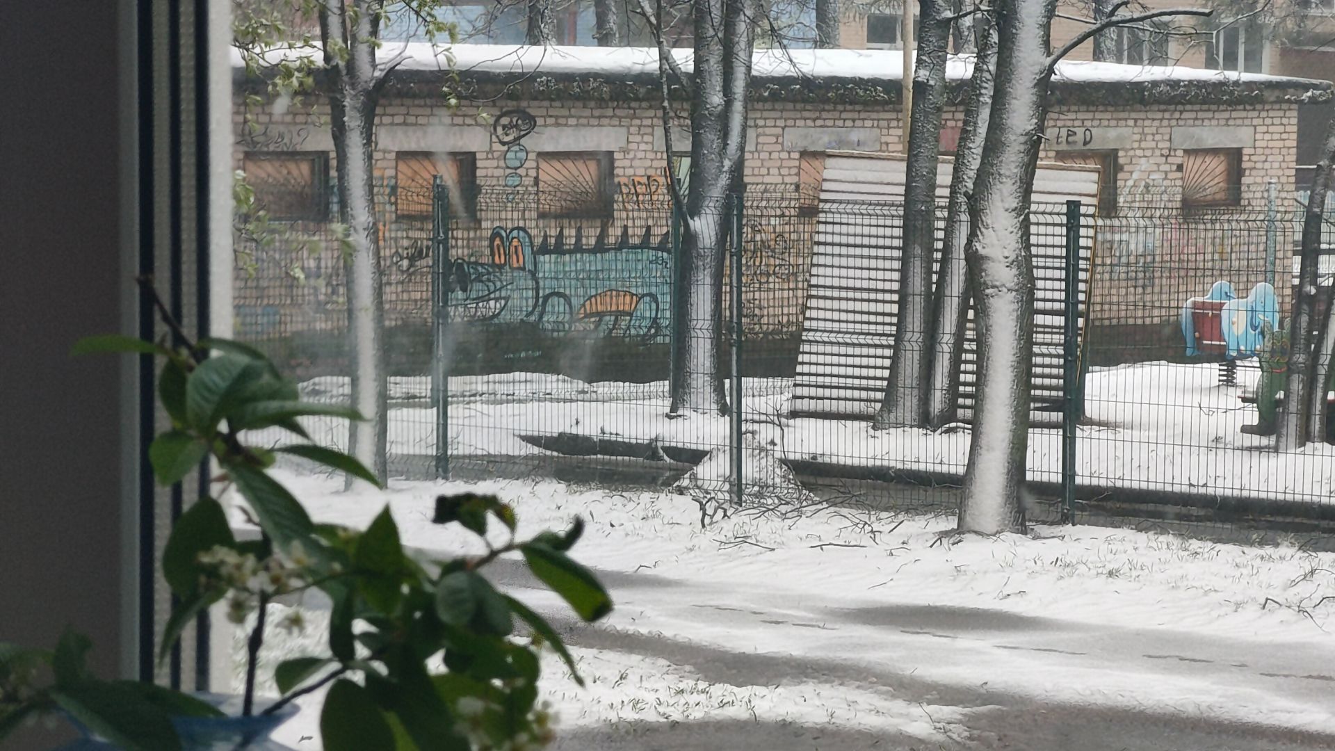 Крокодилы бы сдохли от такого апреля ! / Снегопад в Подмосковье /  28.04.2026