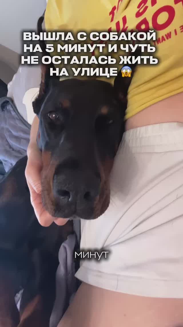 ЧУТЬ НЕ ОСТАЛИСЬ ЖИТЬ НА УЛИЦЕ🥶