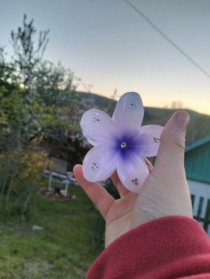 блог от Моники