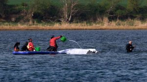 Последняя попытка: в Германии пытаются спасти застрявшего на мели кита Тимми