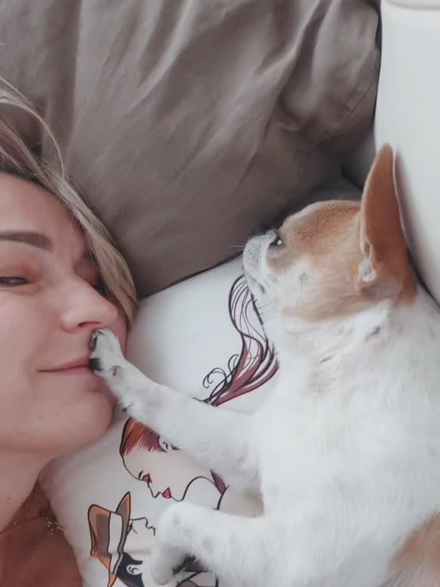 #ЧИХУАХУАПРИНЦРЕДИ❤️НЕ НАДО СЛОВ))