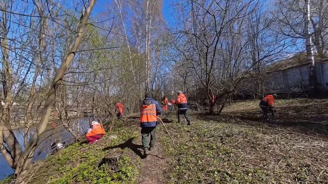 В Пушкинском округе прошёл общеобластной субботник