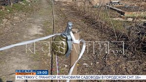 Сегодня в 19.00 в программе «Кстати»: Растяжку с гранатой установили садоводы в городском СНТ