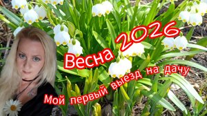 Наша Дача! Моя Весна 2026! Я в Шоке!