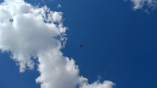 Дачные истории. Первые посадки