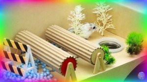 Хомяк столкнулся с непреодолимым испытанием на выживание! Испытание в лабиринте для хомяков. часть 4