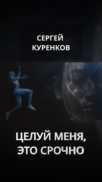 Сергей Куренков - Целуй меня, это срочно