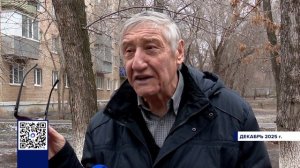 ДЕРЕВЬЯ ОРЕНБУРЖЬЯ ОБНОВЛЯЮТ