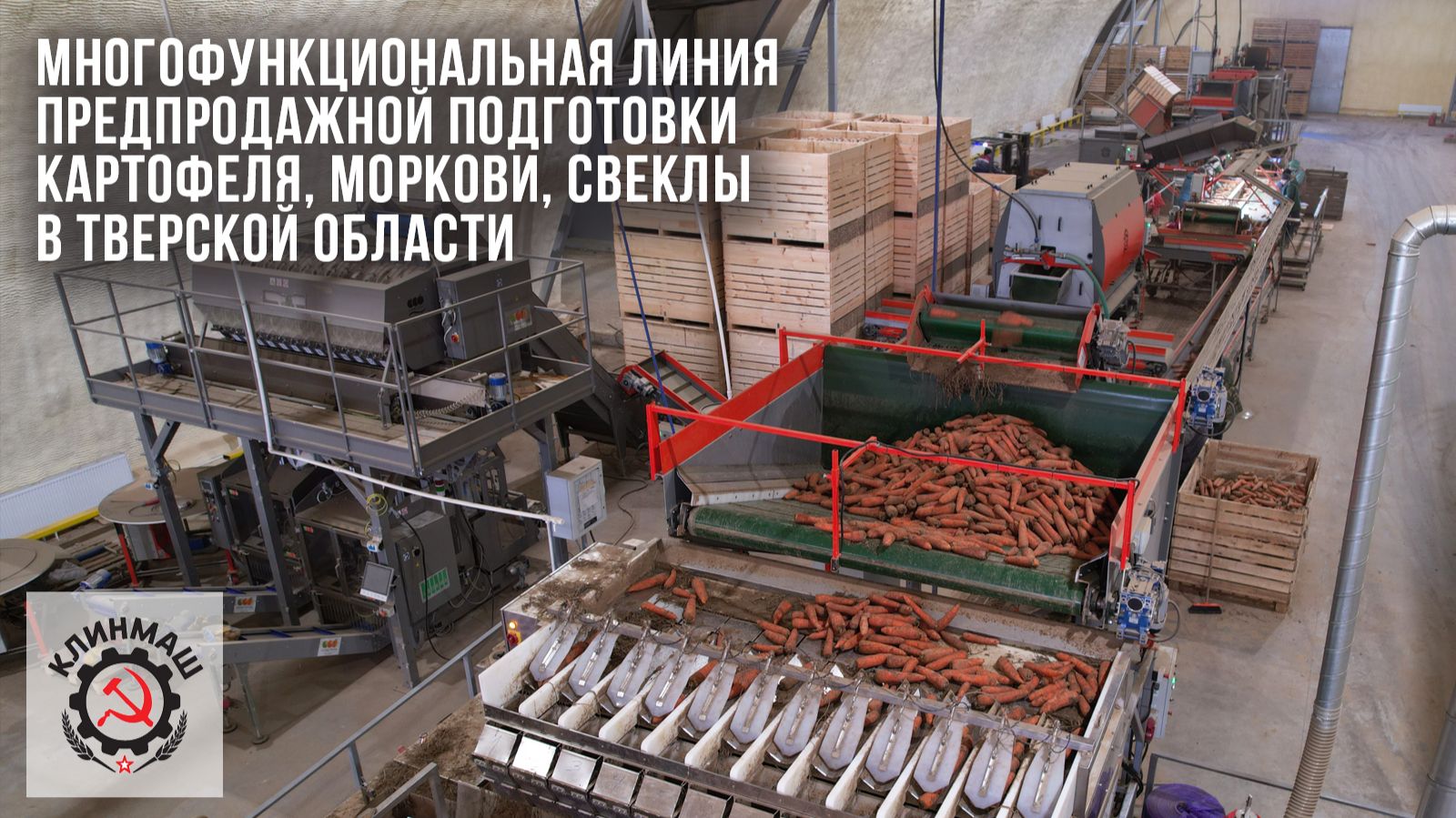 Многофункциональная линия предпродажной подготовки картофеля, моркови, свеклы в Тверской области