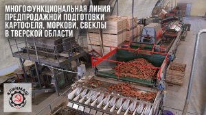 Многофункциональная линия предпродажной подготовки картофеля, моркови, свеклы в Тверской области