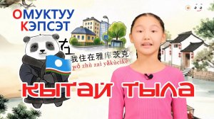 Кытай тыла 16