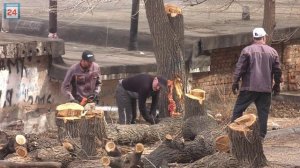 Преображение за 12 миллионов: масштабное благоустройство стартовала во дворе на Ленина,80 в Абакане