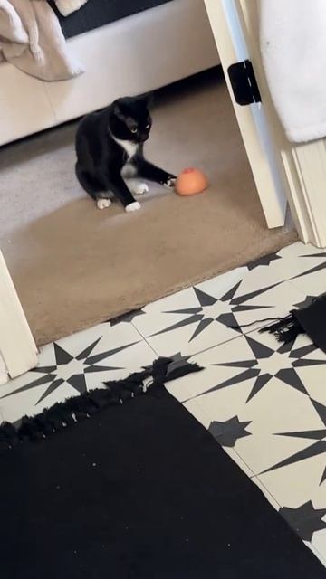 Незабываемые ощущения