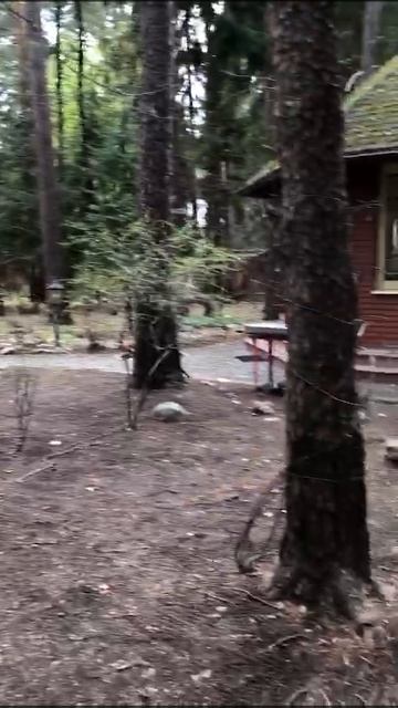 уборка територии 1