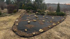 Как создать миксбордер на дернине? Успешный многолетний опыт.