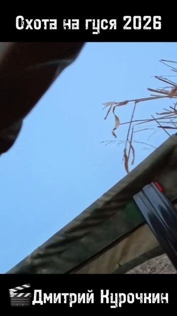 Охота на Гуся 🎯