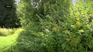 В Тверской области заметно увеличилось число дачников